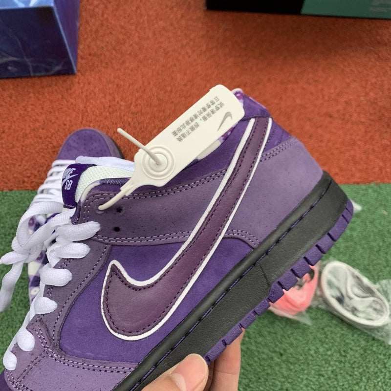 Nike SB Dunk Low Concepts Purple Lobster - ELEGANZ OUTLET