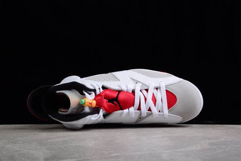 Air Jordan 6 Retro Hare